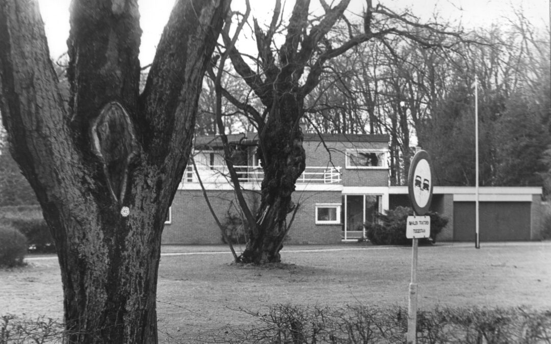 Doktoren in Borger