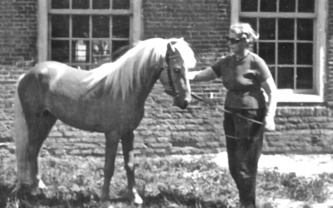 Gien en de manege
