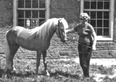 Gien en de manege